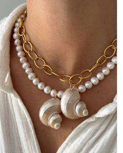 Turbo Shell Necklace
