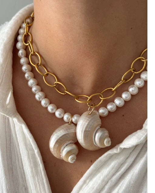 Turbo Shell Necklace
