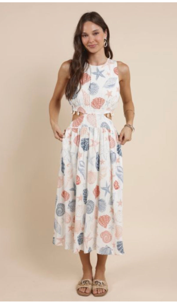 Seashells Midi